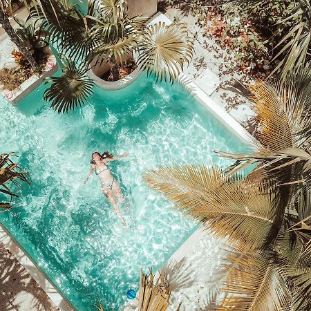 Hotel Buenavista Bacalar Jungle Experience المظهر الخارجي الصورة