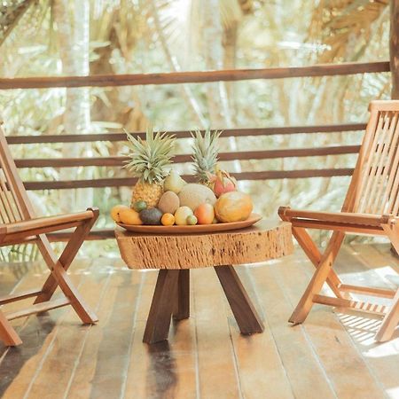 Hotel Buenavista Bacalar Jungle Experience المظهر الخارجي الصورة