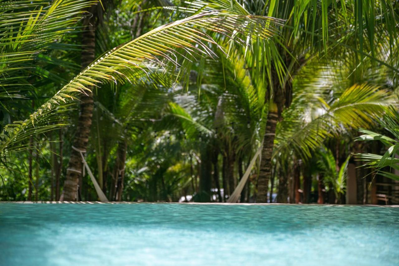 Hotel Buenavista Bacalar Jungle Experience المظهر الخارجي الصورة