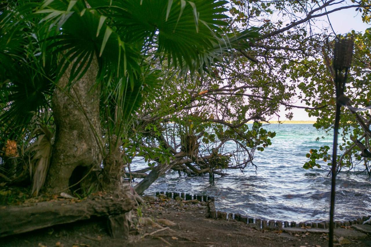 Hotel Buenavista Bacalar Jungle Experience المظهر الخارجي الصورة