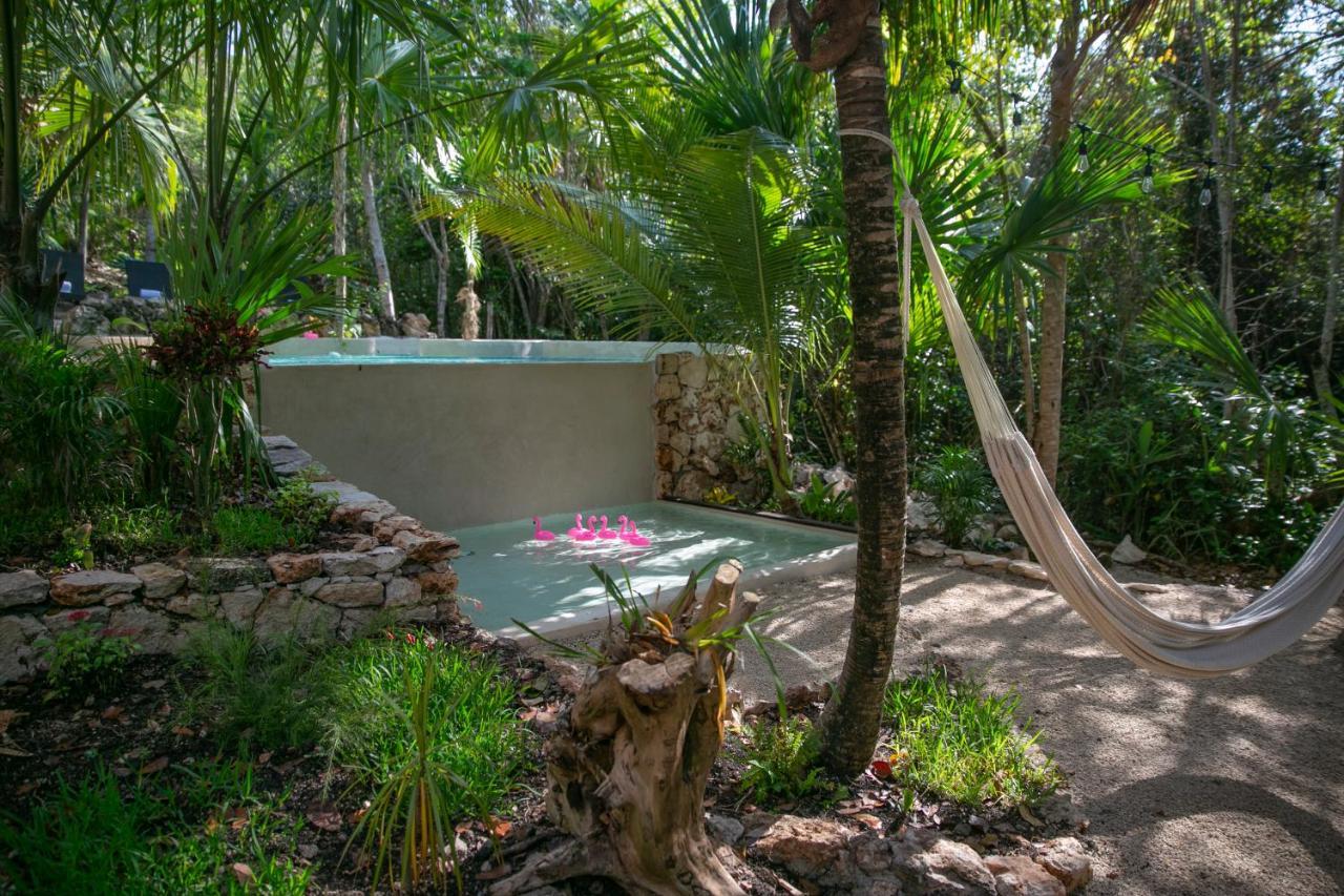 Hotel Buenavista Bacalar Jungle Experience المظهر الخارجي الصورة