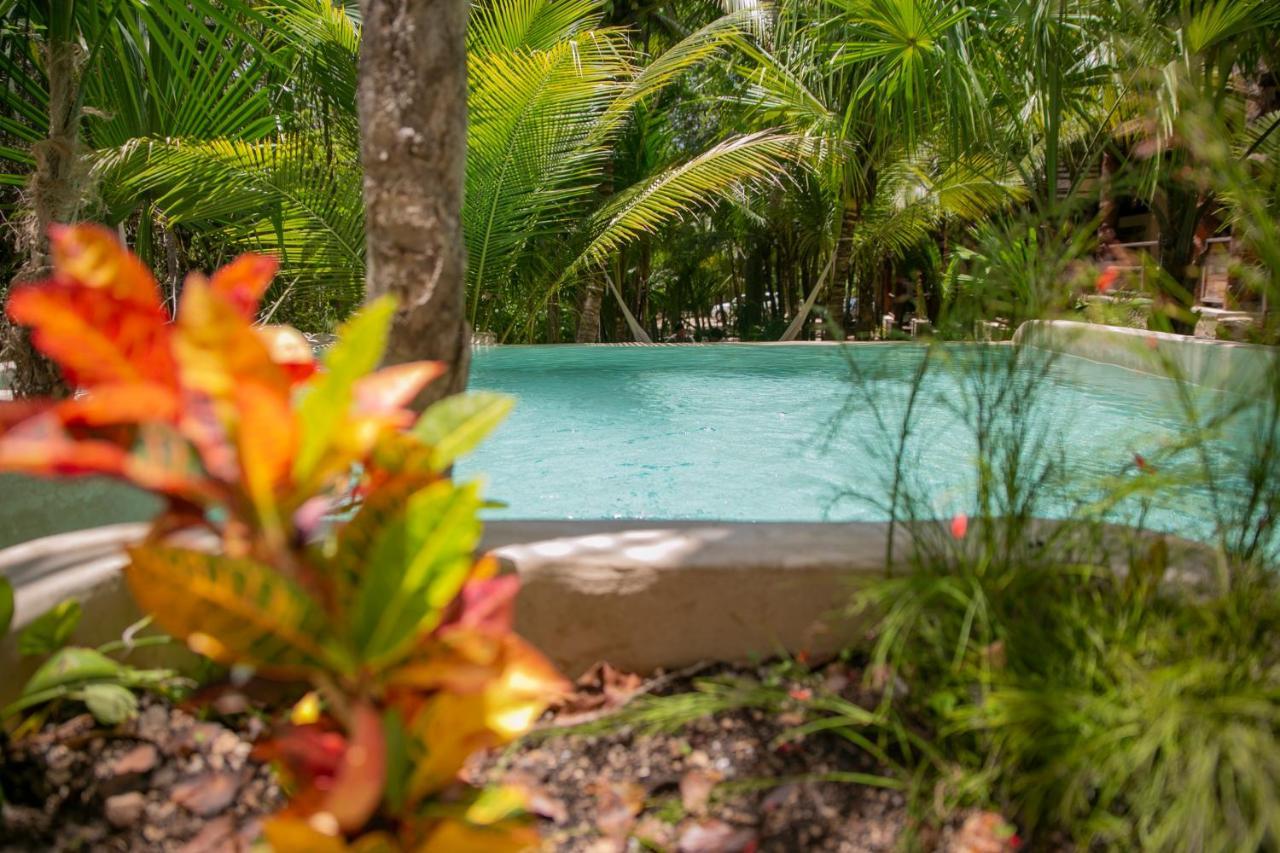 Hotel Buenavista Bacalar Jungle Experience المظهر الخارجي الصورة