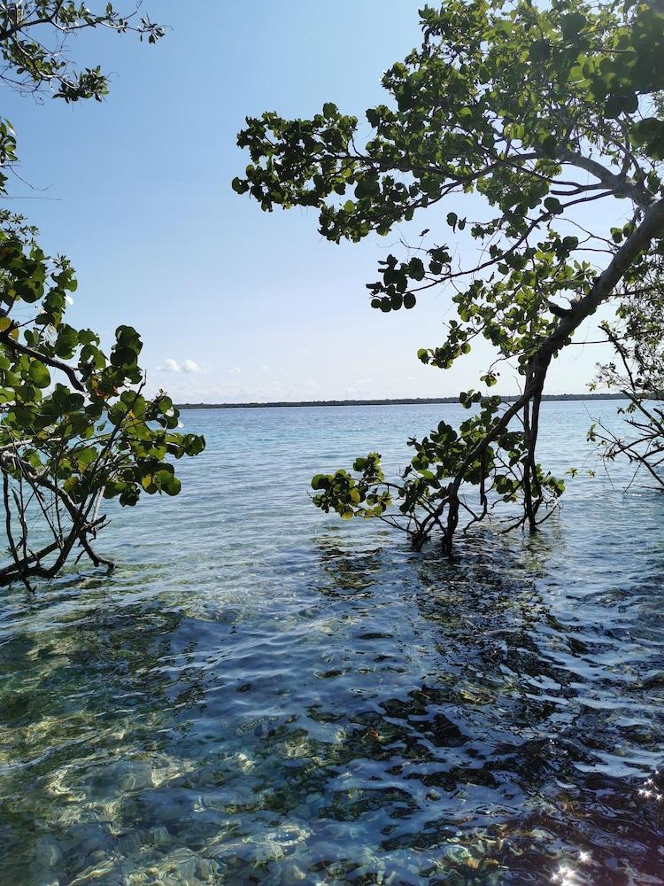 Hotel Buenavista Bacalar Jungle Experience المظهر الخارجي الصورة