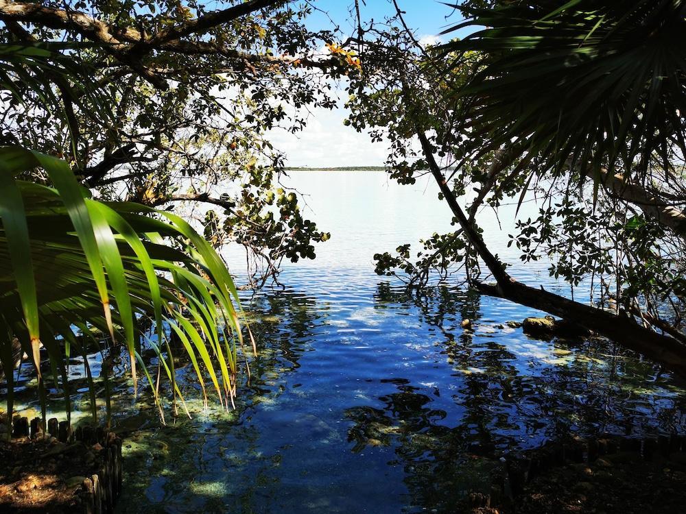Hotel Buenavista Bacalar Jungle Experience المظهر الخارجي الصورة