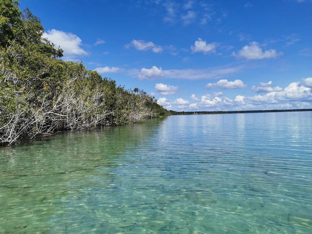 Hotel Buenavista Bacalar Jungle Experience المظهر الخارجي الصورة